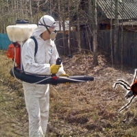клещ