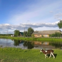 село