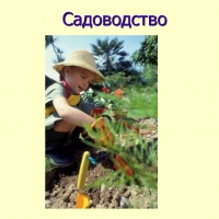 дача